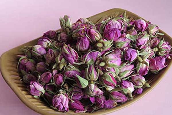 غنچه خوش عطر گل محمدی 3